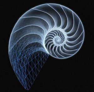 Fibonacci is a nut shell!